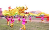 Tái hiện hình ảnh vua Lê Đại Hành đi cày ở Hà Nam